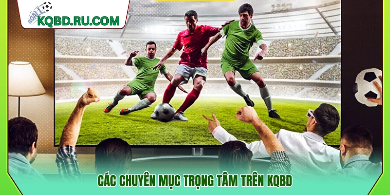 Hệ thống chuyên mục chính đang hoạt động 